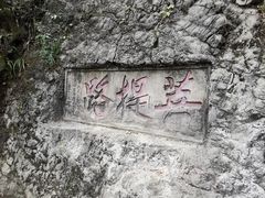 -黔灵山公园