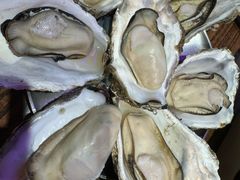 -蚝堡海鲜·威海菜·海肠捞饭·烧烤·亚洲吃蚝公司(幸福门店)