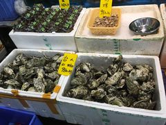 -飞尝蚝·顺德菜·鱼生(顺德总店)