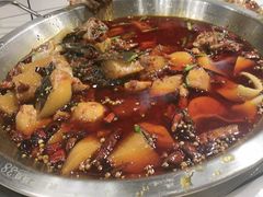 -晓彭肥肠鸡·泡椒鸡火锅(水木天地店)