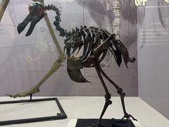 -国家自然博物馆