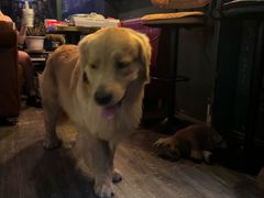 -后院儿·精酿·塔罗Happy Bar