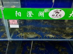 -阳澄湖大闸蟹·琼灵阁牌品牌连锁(吴中总店)