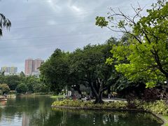 -晓港公园