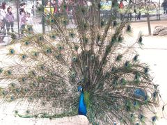 -祥源·阜阳生态乐园