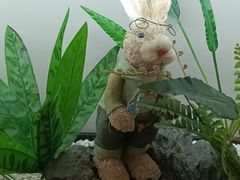 -懒鹿智能电竞酒店(蜀汉路店)