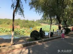 -丁香湖公园