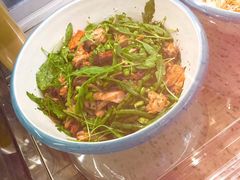 -WHEN PIGS FLY当猪飞