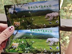 -普洱太阳河森林公园