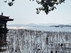-湖畔居茶楼(湖滨店)