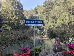 -灵栖洞天