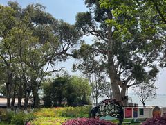 -滇池海埂公园