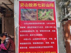 -淡村菜市场