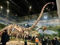 -自贡恐龙博物馆