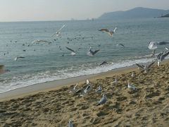 -海云台海滩
