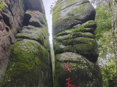 -汤旺河林海奇石景区