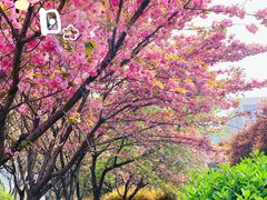 -城市运动公园(未央区)