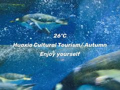 -华夏文旅海洋公园