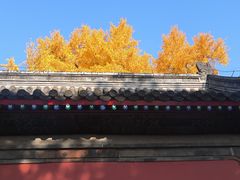 -承恩寺