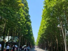 -日照海滨国家森林公园