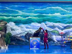 -多彩贵州城极地海洋世界