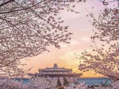-武汉大学-樱园