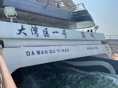 -招商蛇口邮轮母港(观光客运)