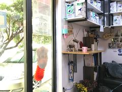 -严国平动物医院(德政总院)