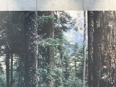 -山下C5cafe(惠通时代广场店)