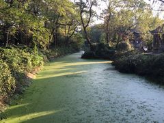 -金孔雀温泉旅游度假村