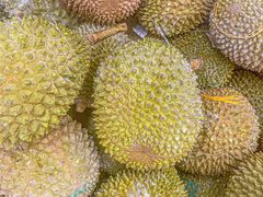 -开皇马来西亚榴莲美食店(华强北店)