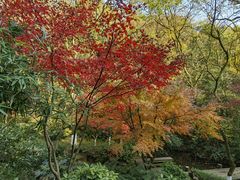 -杭州半山国家森林公园