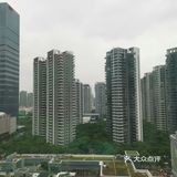 厦门岛,一派繁荣景象