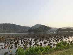 -顺峰山公园