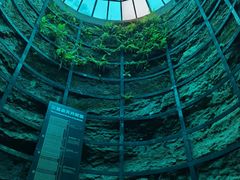 -西峡恐龙遗迹园