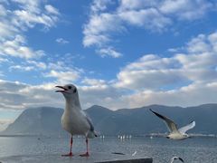-海埂大坝