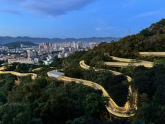 -福道
