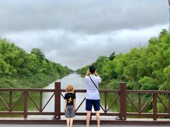 -黄海国家森林公园