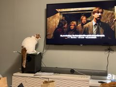 -海底捞火锅(长沙华创国际广场店)