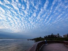 -宝安西湾红树林湿地公园