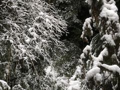 -龙苍沟森林公园
