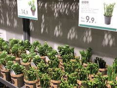 -鹿岛会员店 (龙湖三千集天街店)