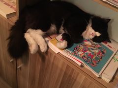 -有何Book(六堰体育馆店)