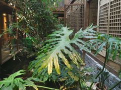 -聚缘堂·海鲜私房菜(松岭路店)