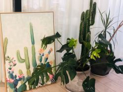 -杨丹国际美学肌研所