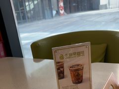 -油梨树 AVOCADO TREE(亮马桥店)