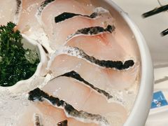 -蒙都43°9羊火锅·赤峰美食(宁城店)