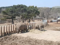 -沈阳森林动物园