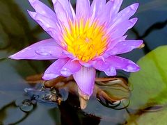 -国家植物园南园