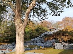 -和园景逸大酒店朗月汤泉
